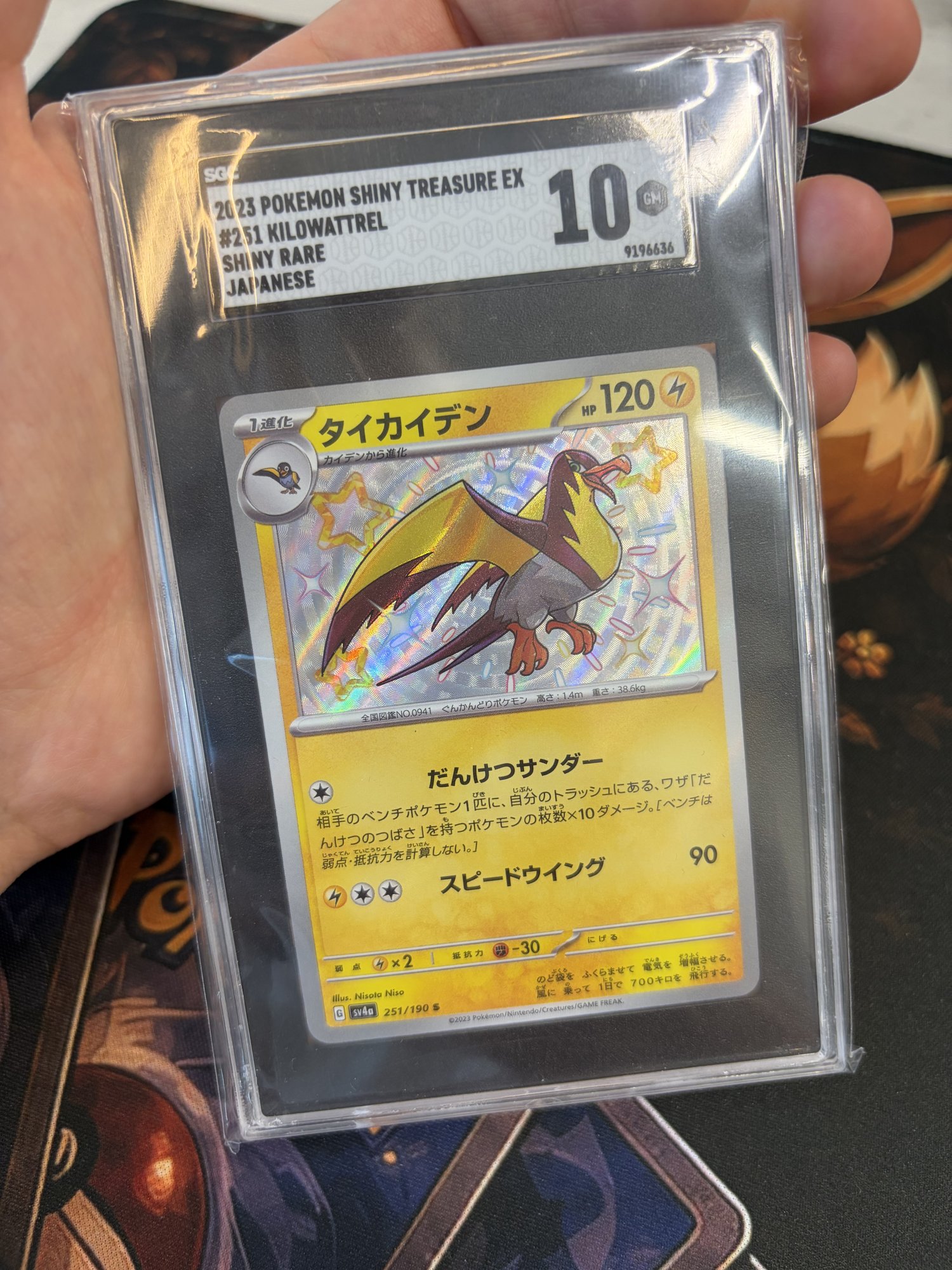 Kilowattrel 251/190