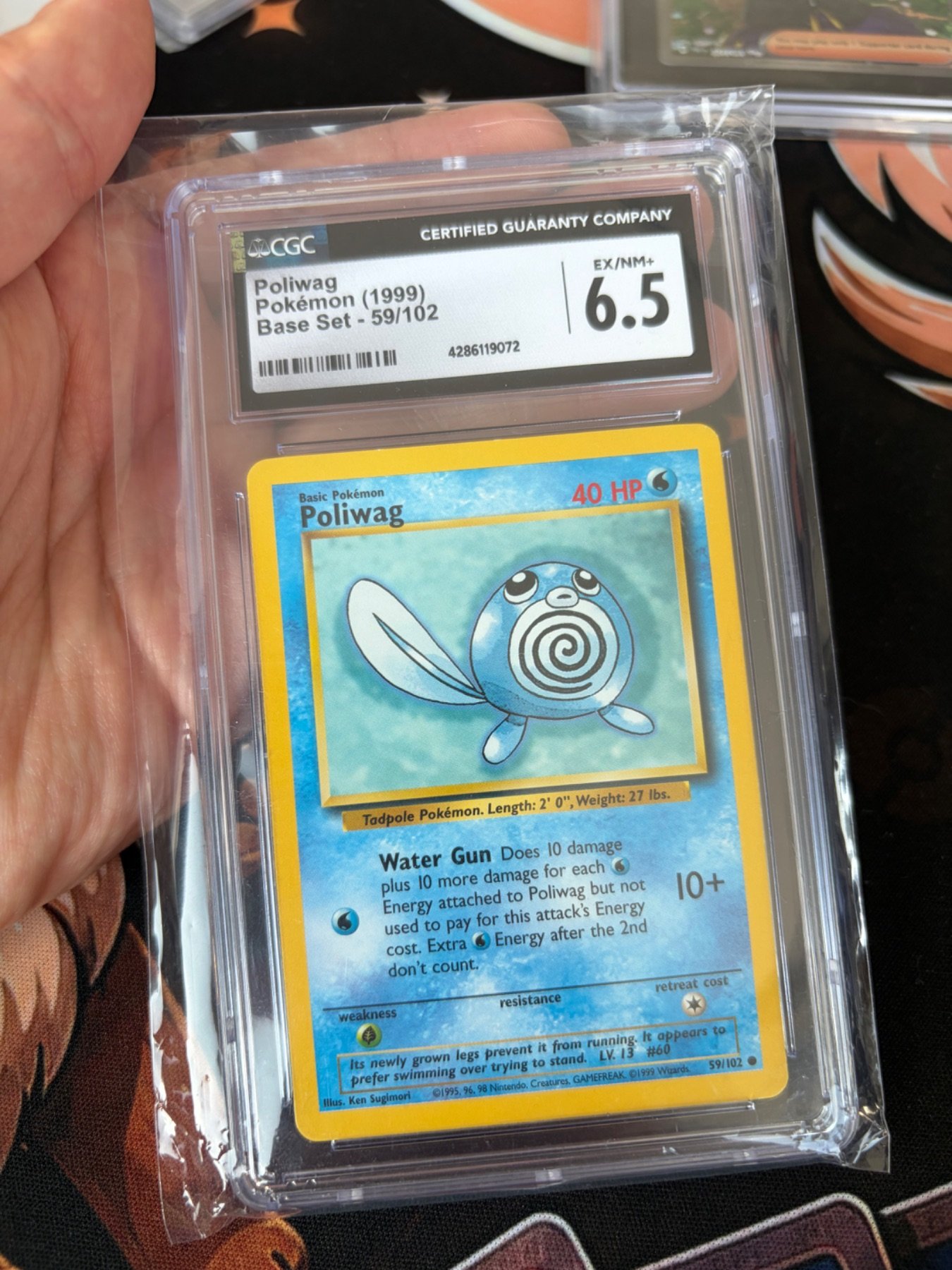 Poliwag 59/102