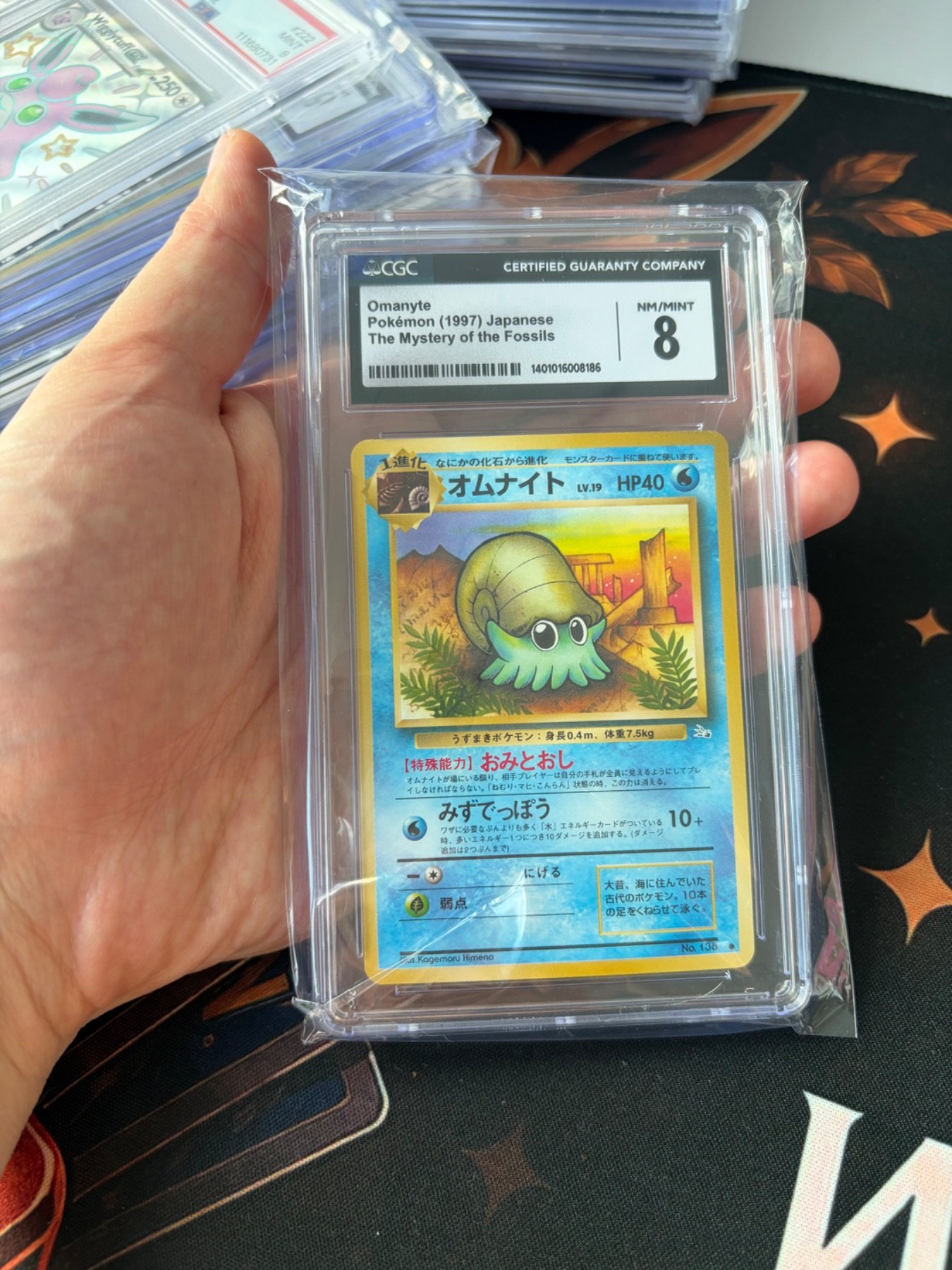 Omanyte 138
