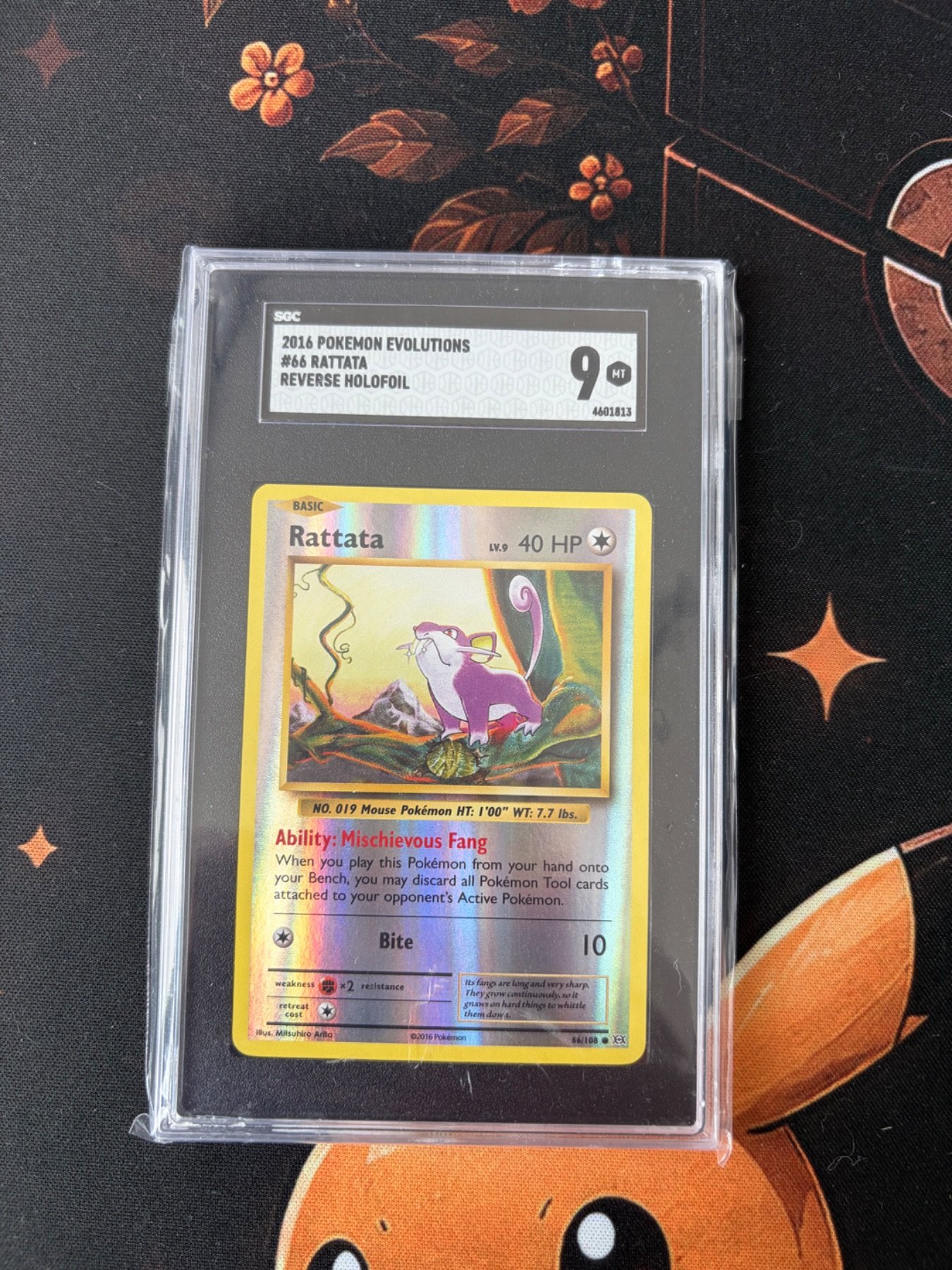 Rattata 86/108