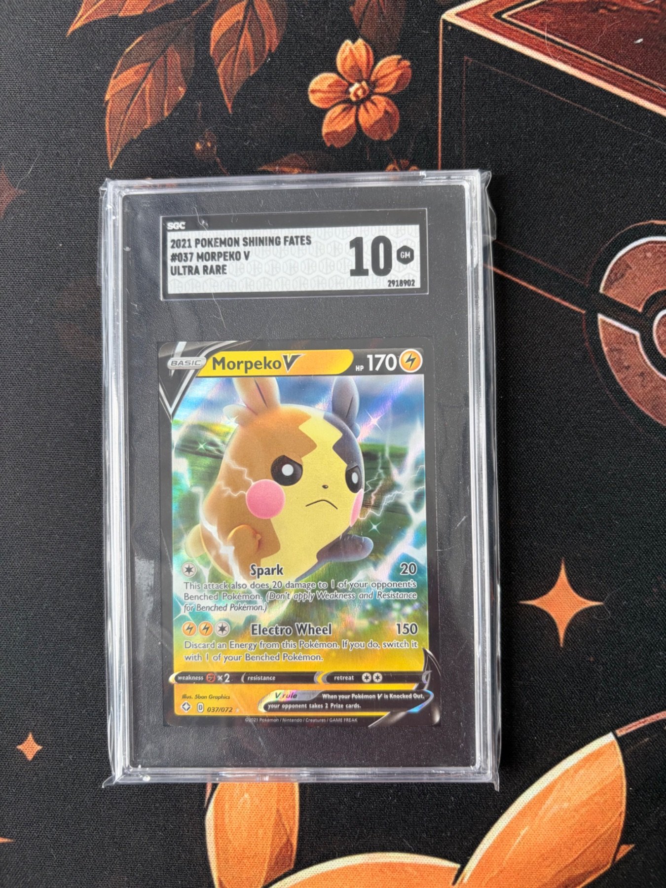 Morpeko V 037/072