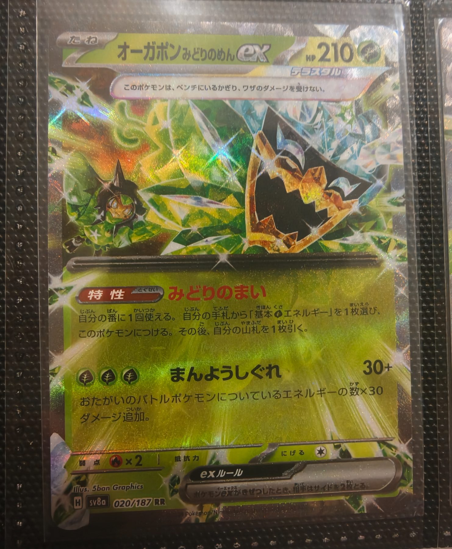 Teal Mask Ogerpon ex (JP) 020/187