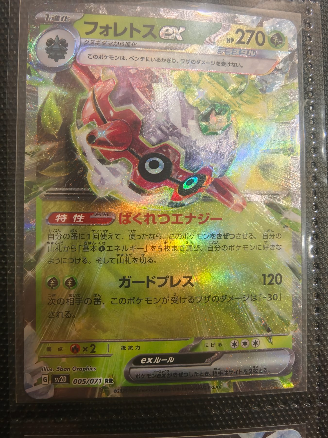 Forretress ex (JP) 005/071