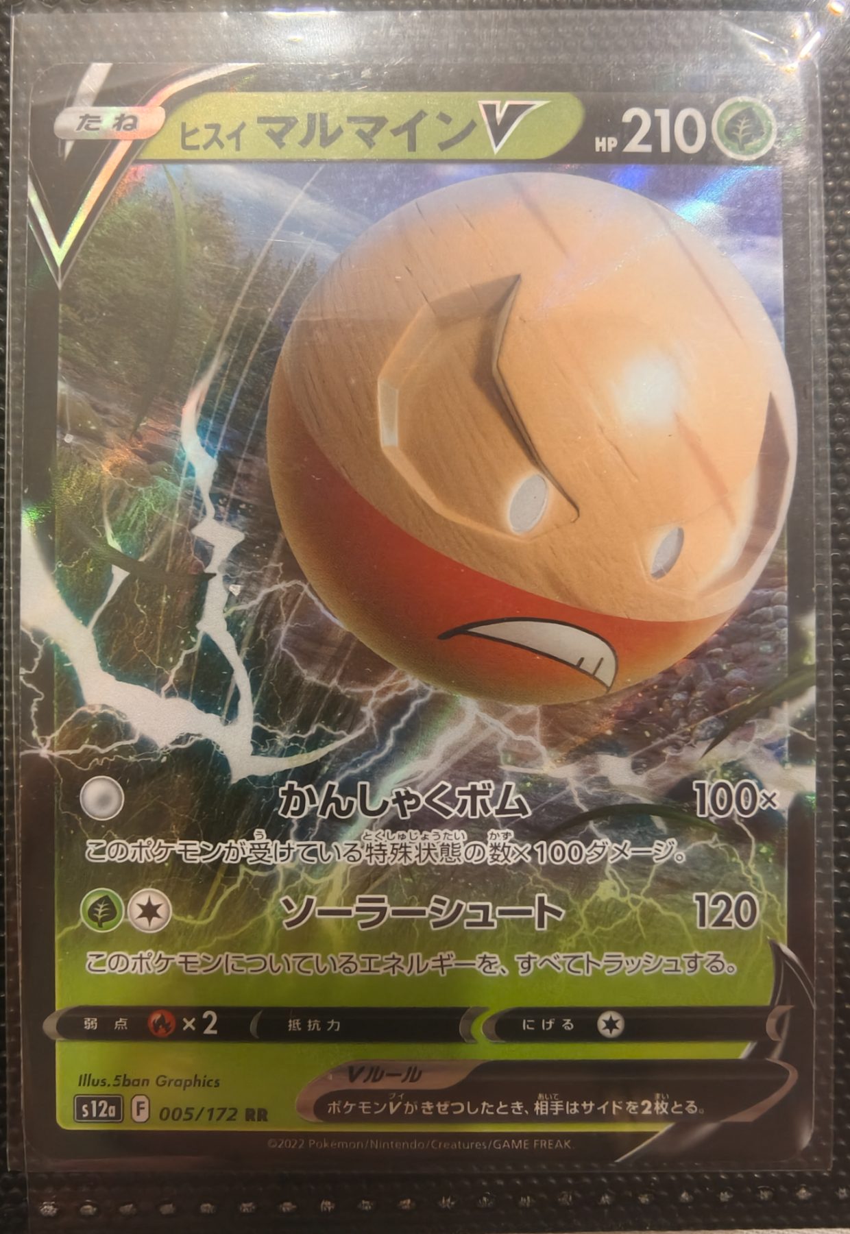 Hisuian Electrode V (JP)
