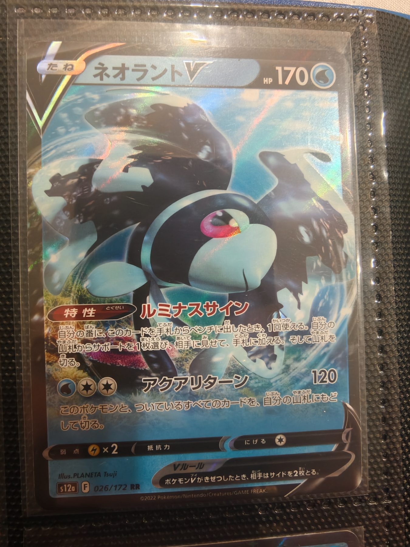 Lumineon V (JP)