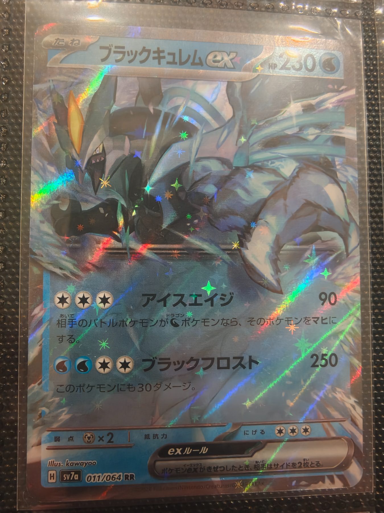 Black Kyurem ex (JP)