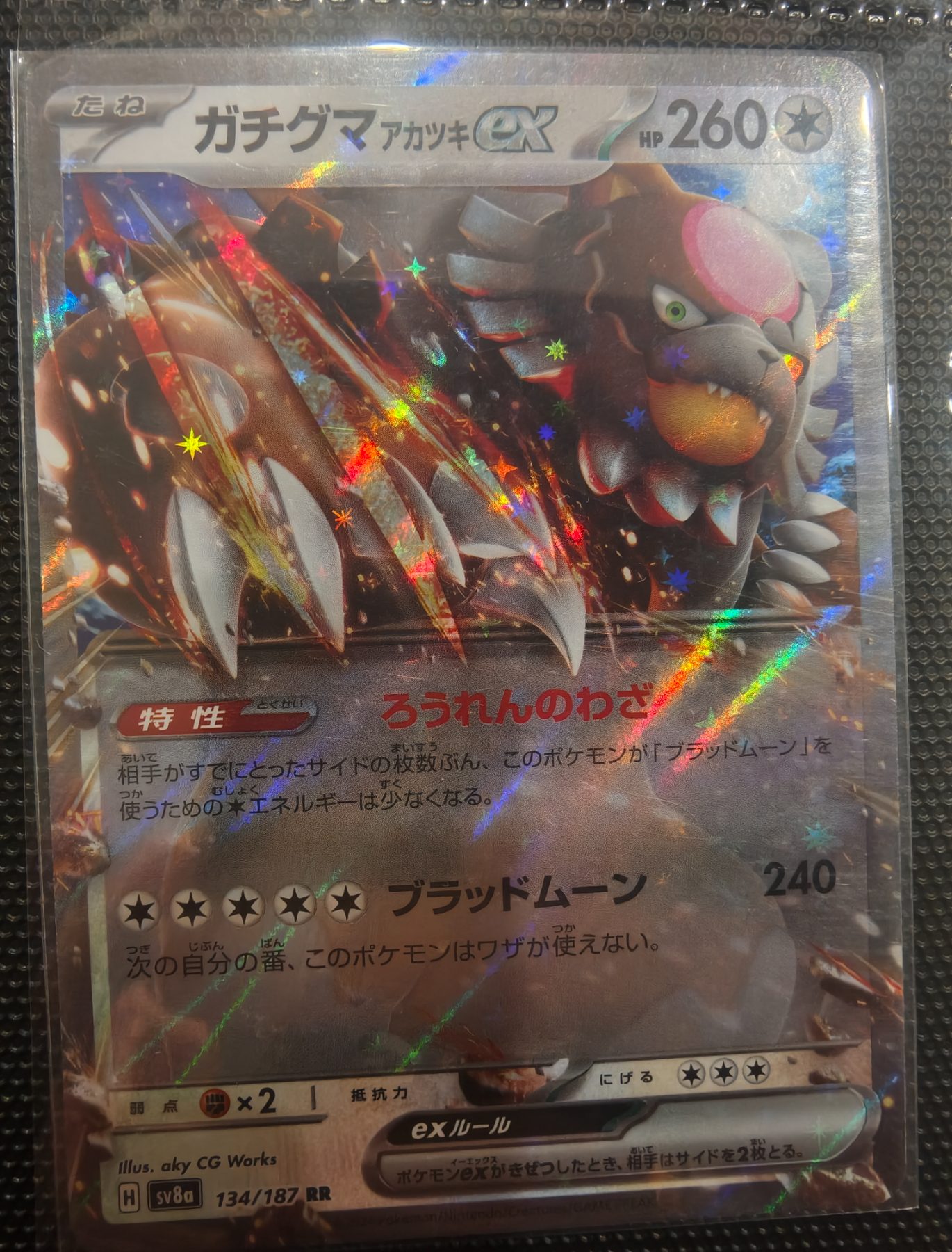 Ursaluna ex (JP)