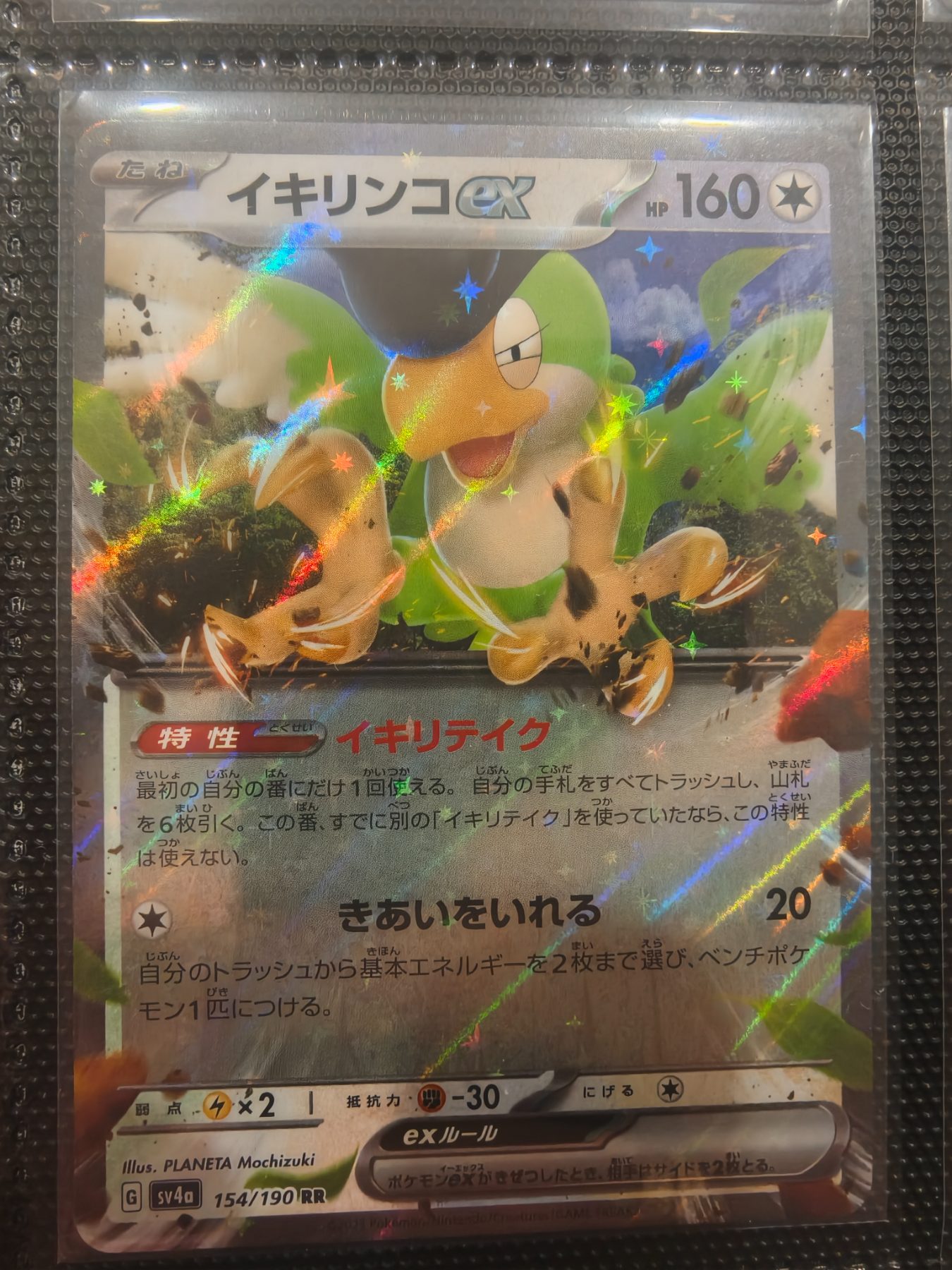 Squawkabilly ex (JP)