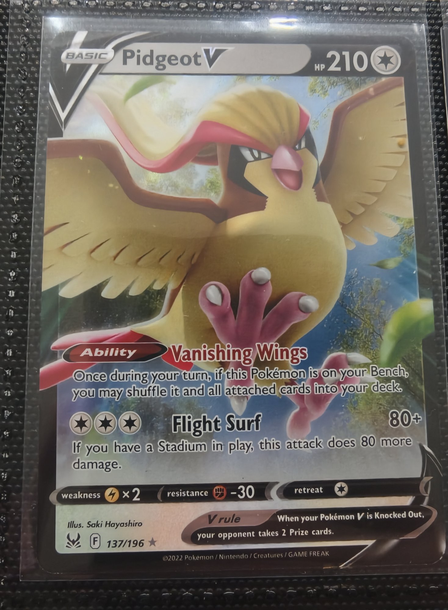 Pidgeot V