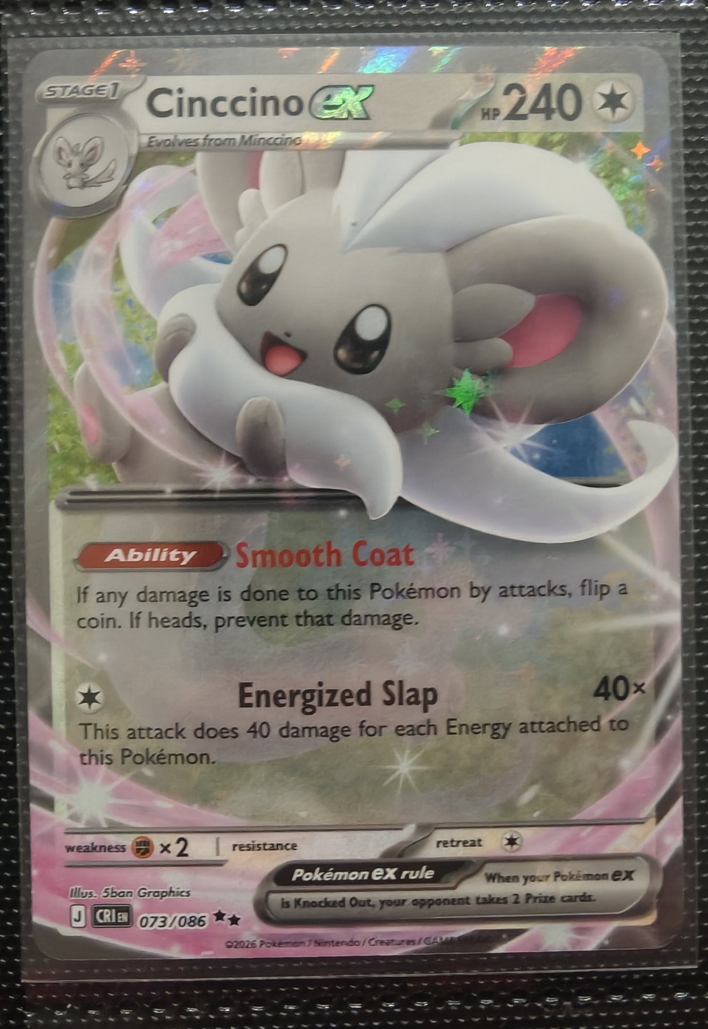 Cinccino ex