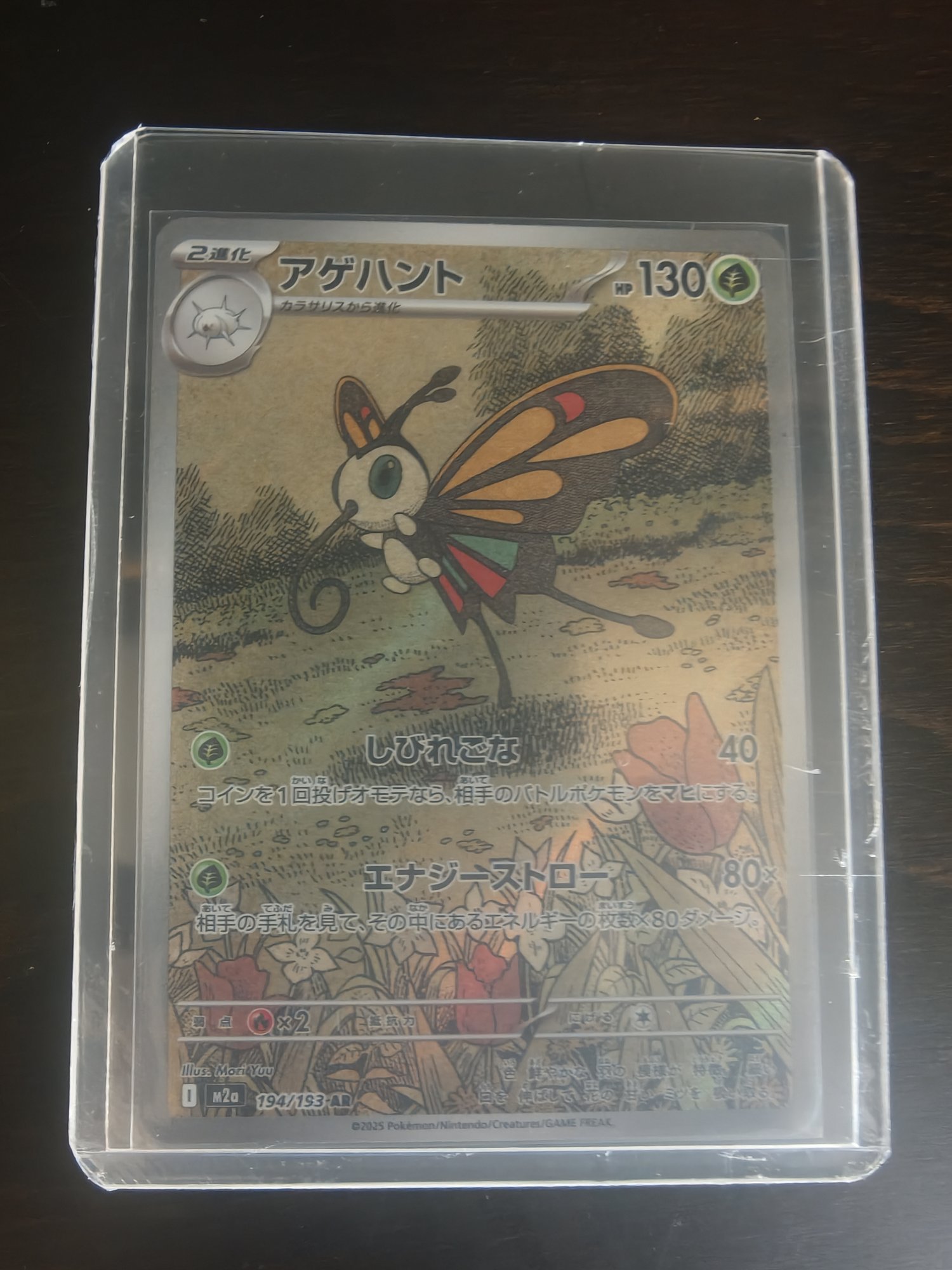 Beautifly